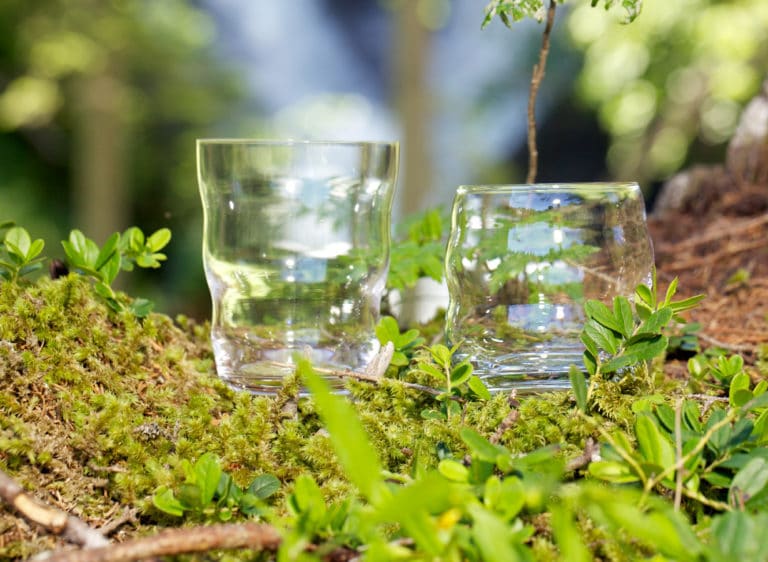 HeimQuell - Trinkglas Jasmina Happy - Trinkglas im Wald - 2024